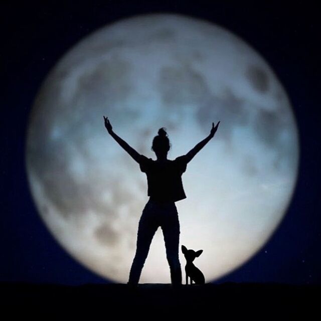 Wolf Moon 2022

May we overcome 💙